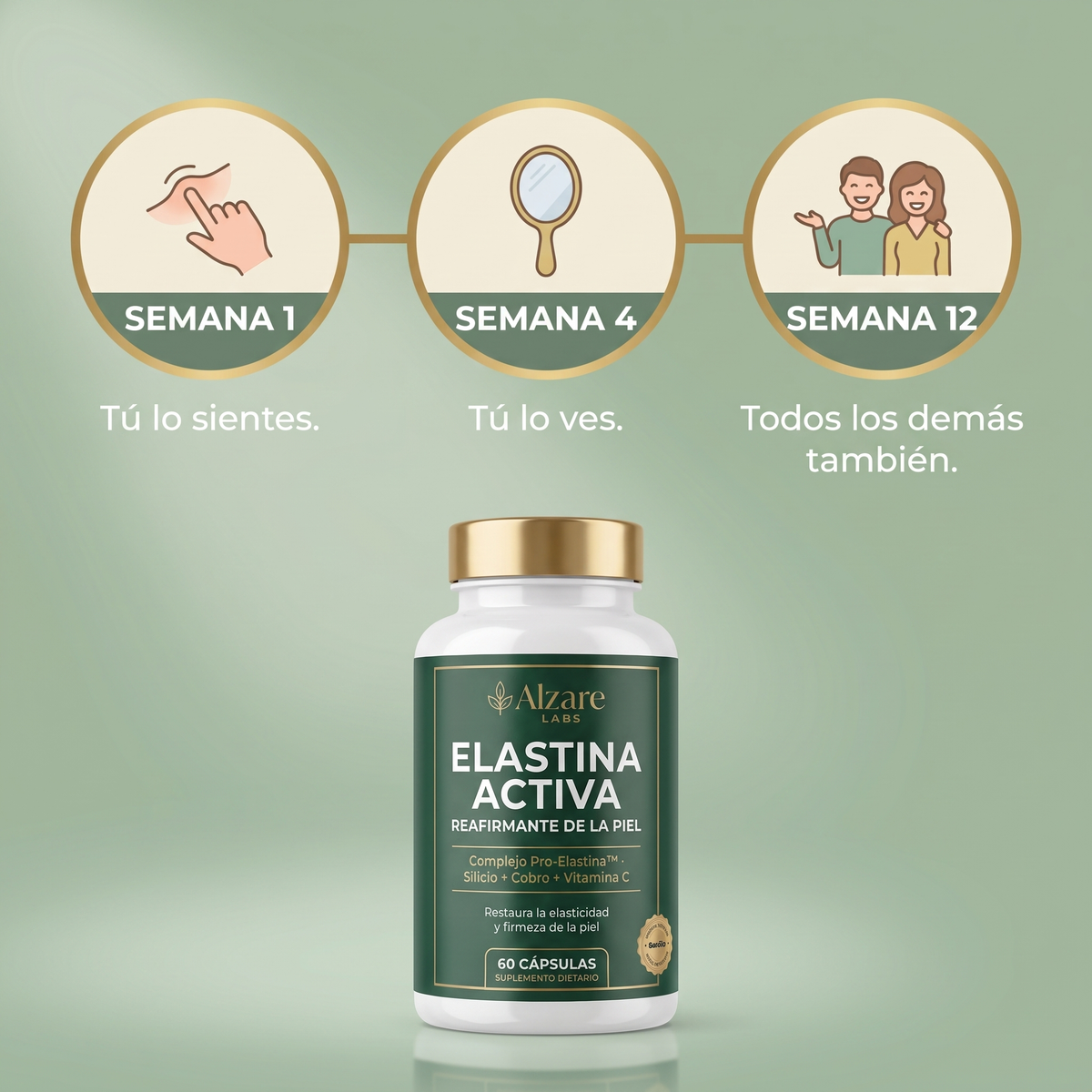 ALZARÉ® ELASTINA ACTIVA