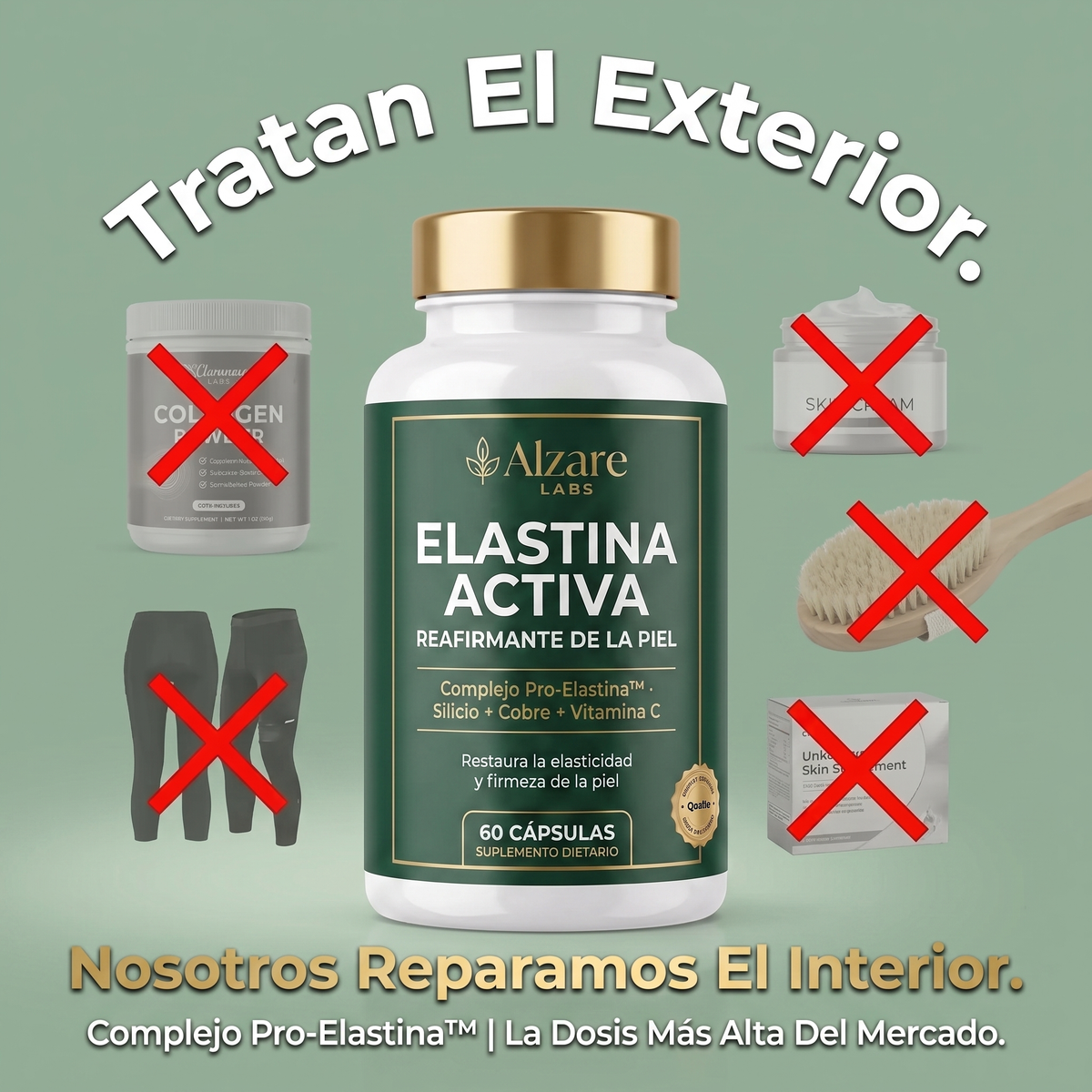 ALZARÉ® ELASTINA ACTIVA