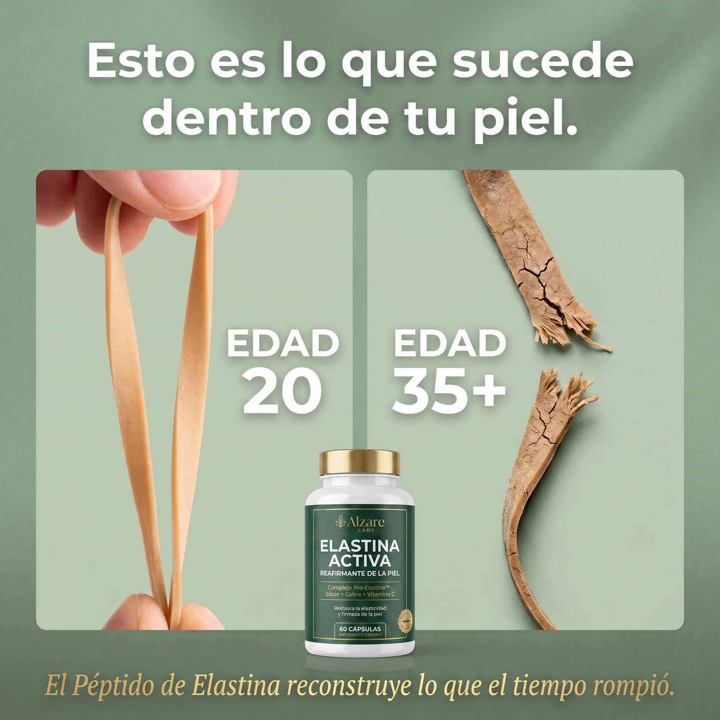 ALZARÉ® ELASTINA ACTIVA